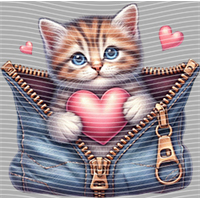 Valentine's Day-QRJ  2433